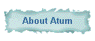 About Atum
